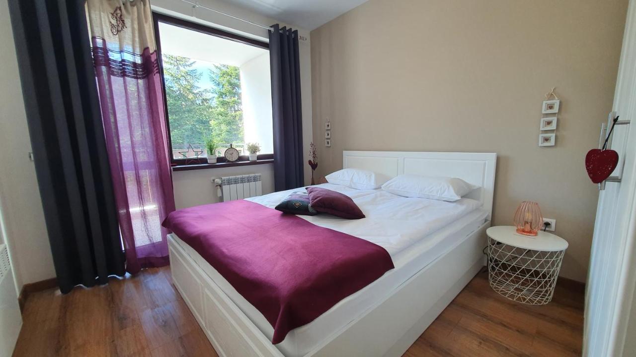 Borovets Holiday Homes Экстерьер фото