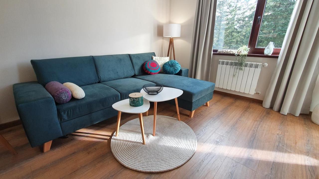 Borovets Holiday Homes Экстерьер фото