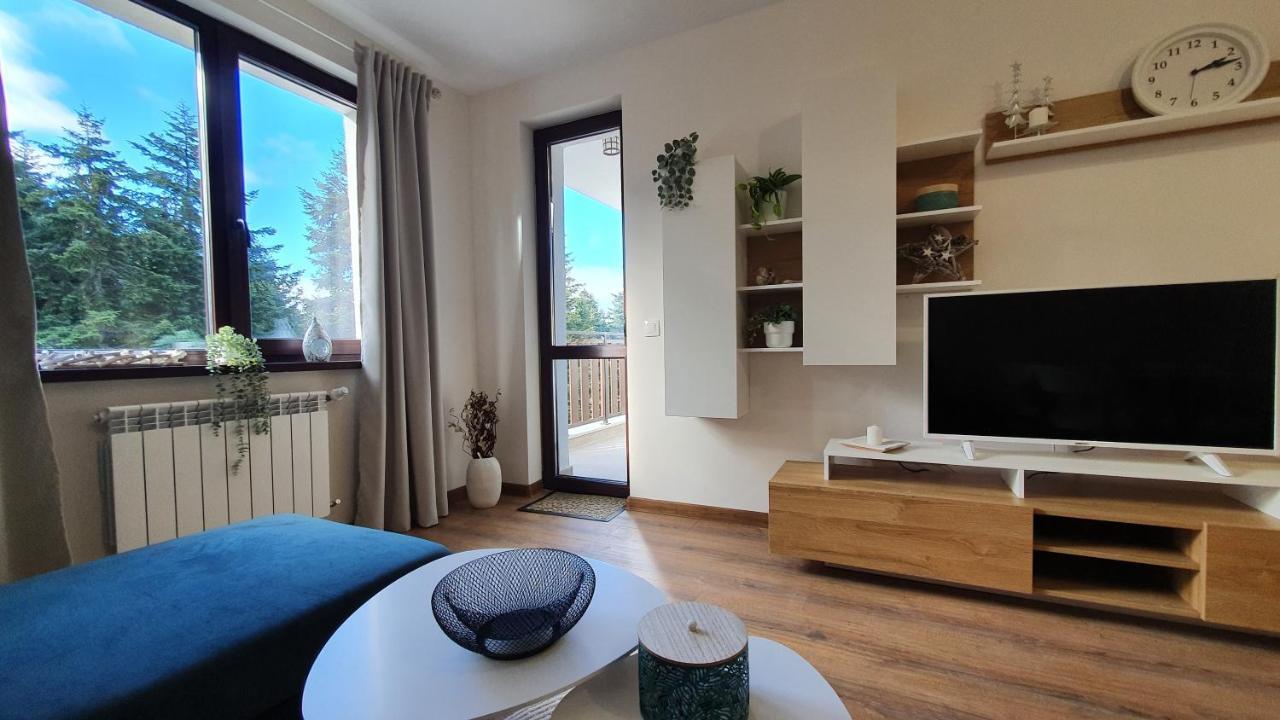 Borovets Holiday Homes Экстерьер фото