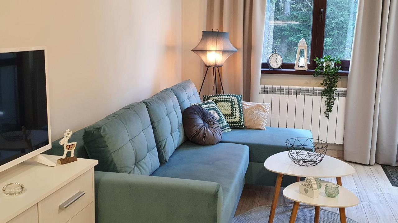 Borovets Holiday Homes Экстерьер фото