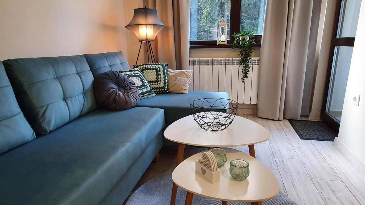 Borovets Holiday Homes Экстерьер фото