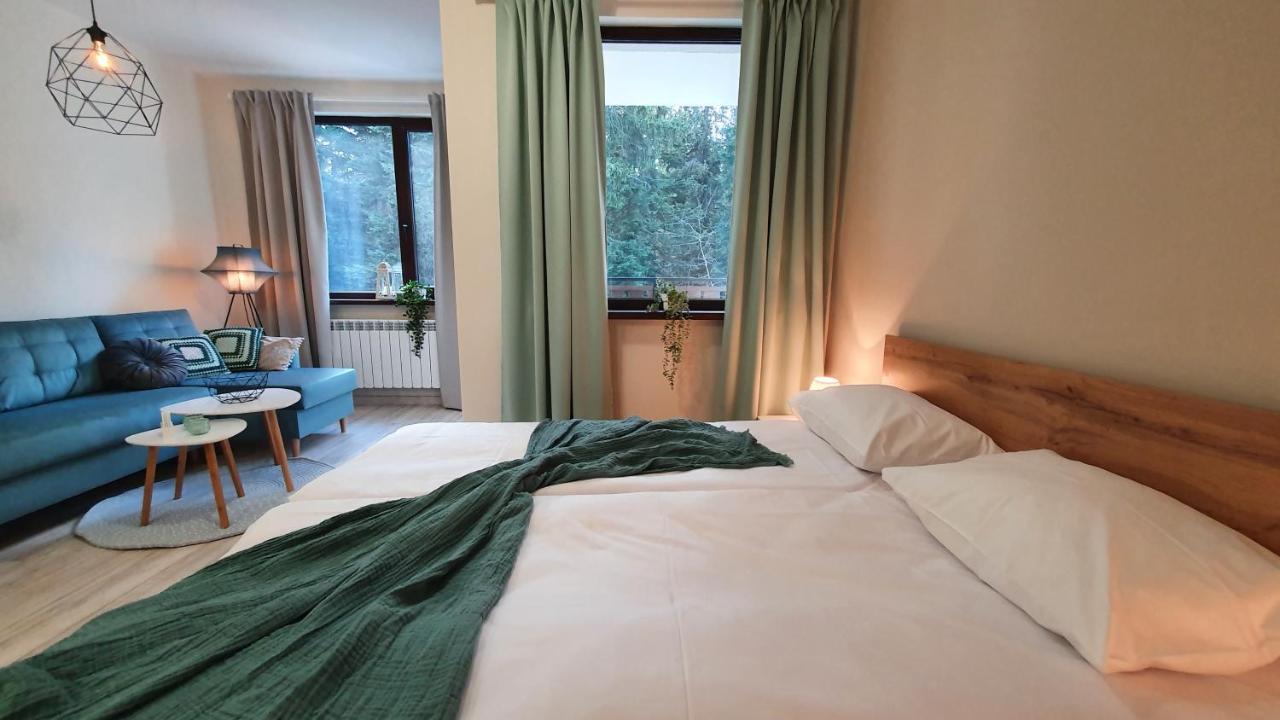 Borovets Holiday Homes Экстерьер фото